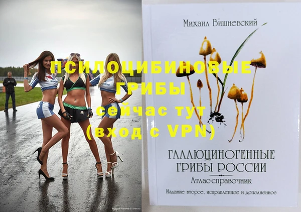 МДМА Белокуриха