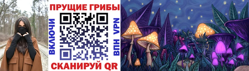 Псилоцибиновые грибы Psilocybine cubensis  kraken зеркало  Славгород 